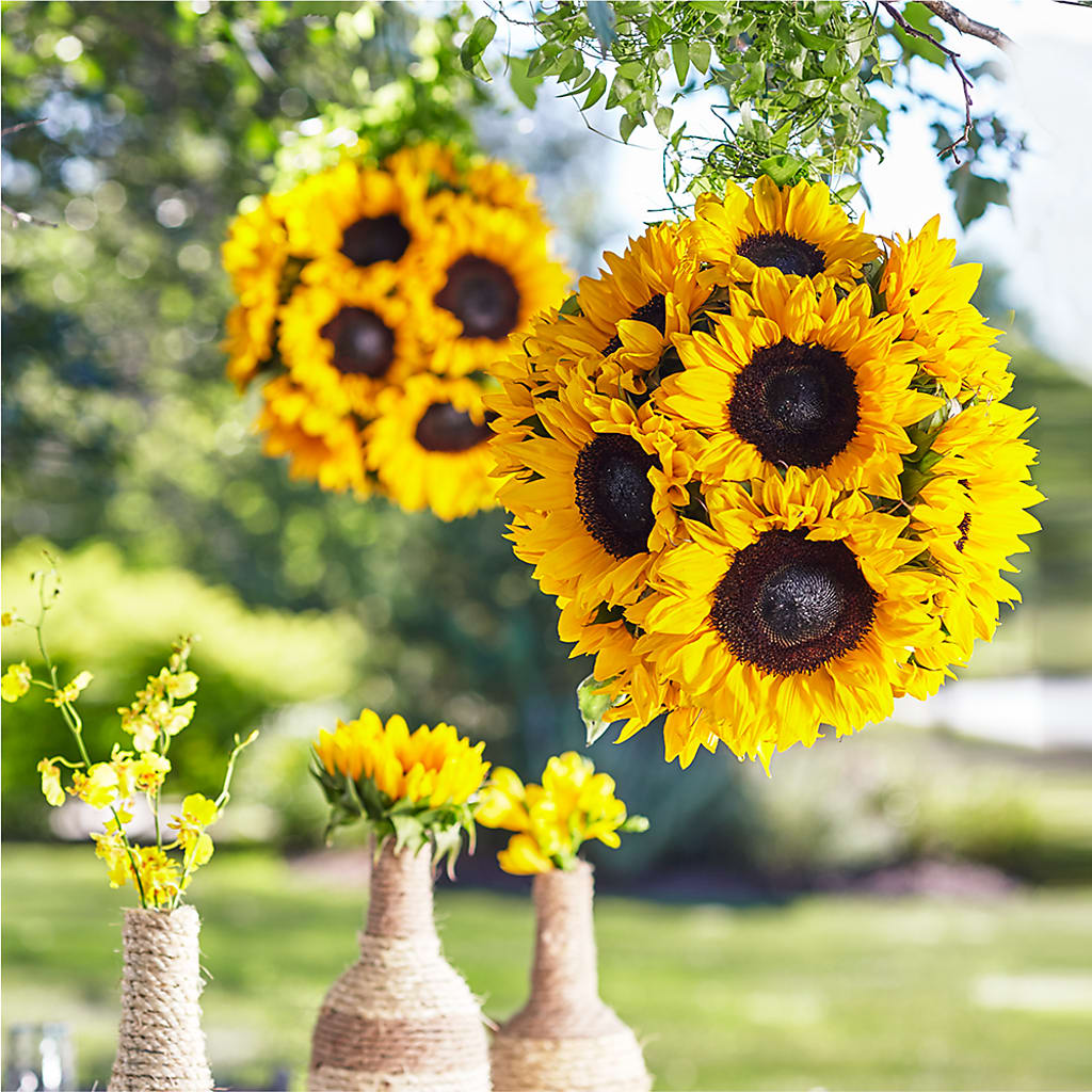 Sublime Garden Hanging Arrangement – San Diego Finest Florist, San Diego CA