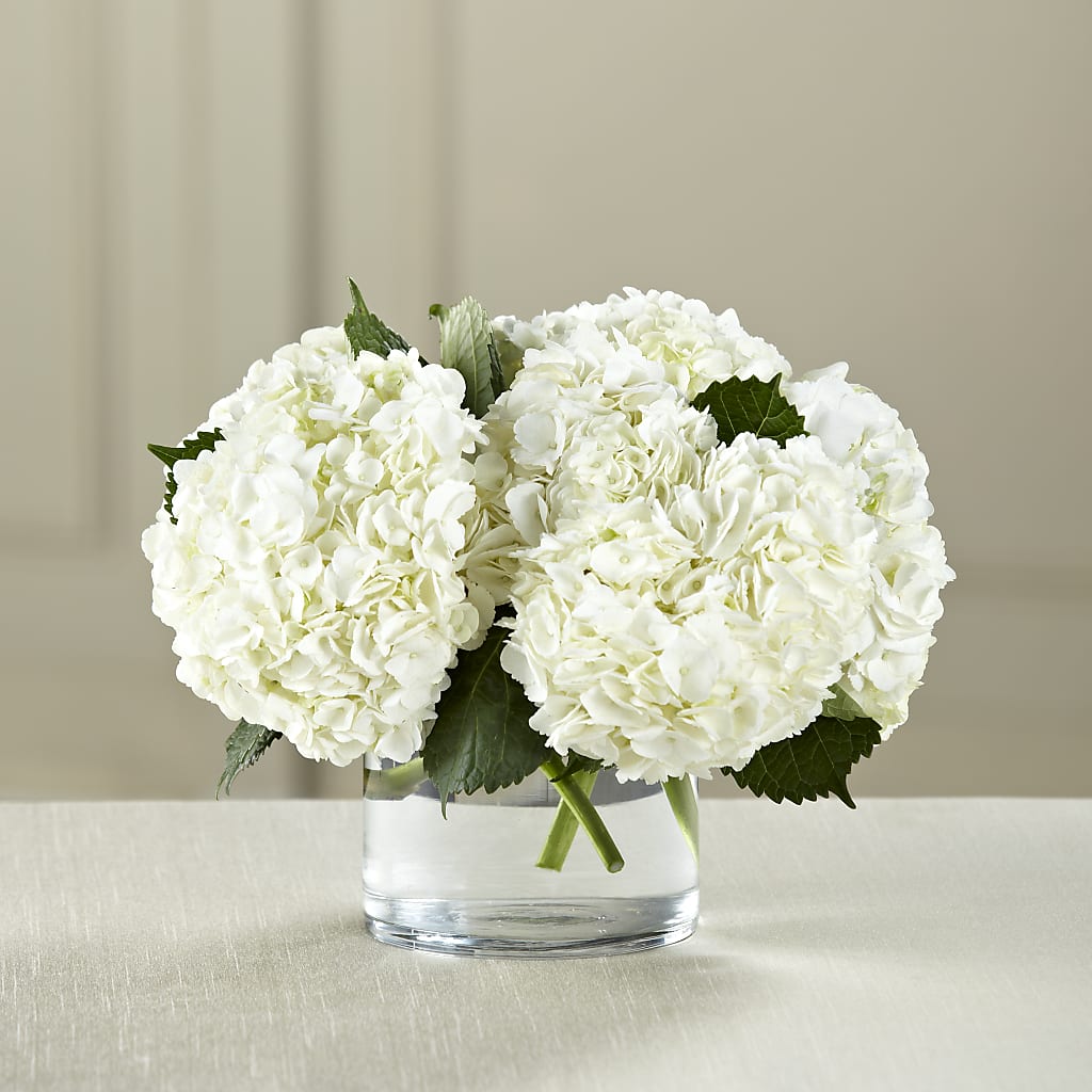 White Hydrangea Bouquet – San Diego Finest Florist, San Diego CA