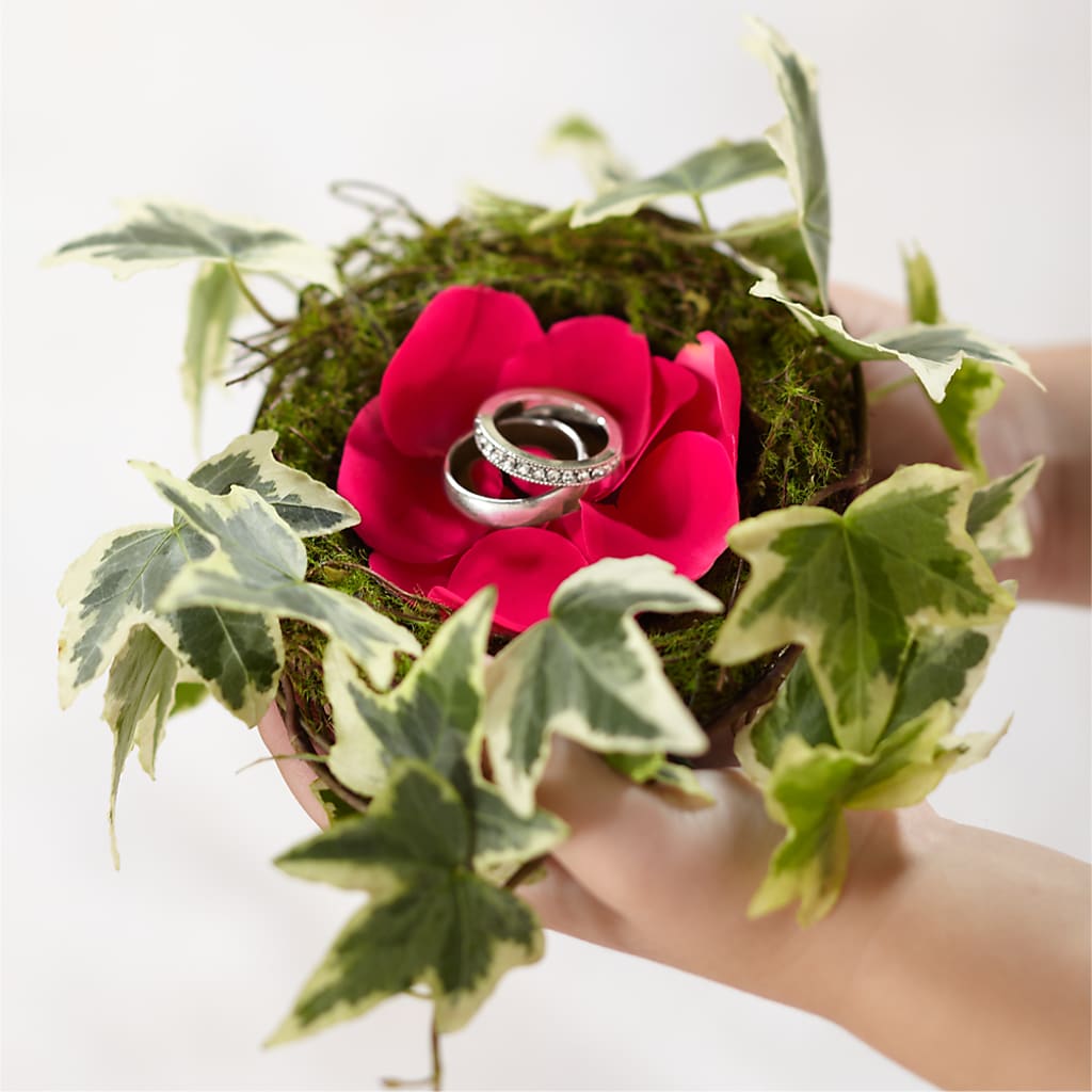 Lila Rose Ring Nest – San Diego Finest Florist, San Diego CA
