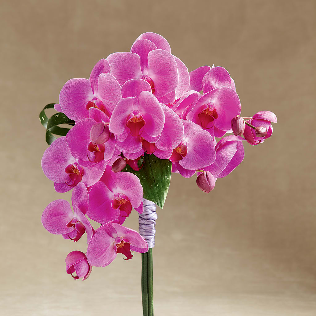 Glorious Bouquet – San Diego Finest Florist, San Diego CA