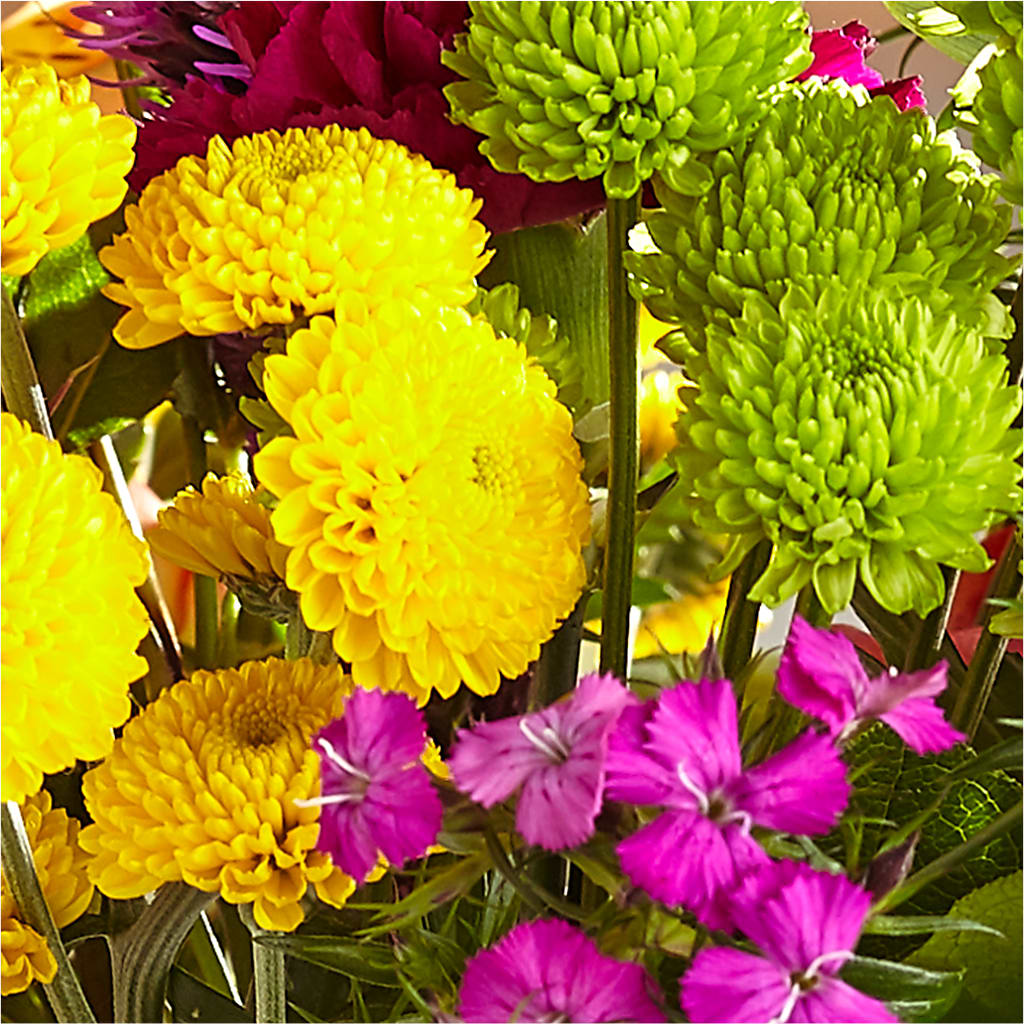 Bold & Bright – A Florist Original –  San Diego Finest Florist, San Diego CA