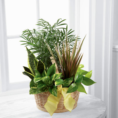 French Garden –  San Diego Finest Florist, San Diego CA