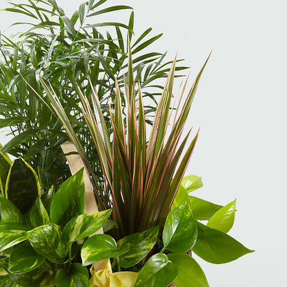 French Garden –  San Diego Finest Florist, San Diego CA