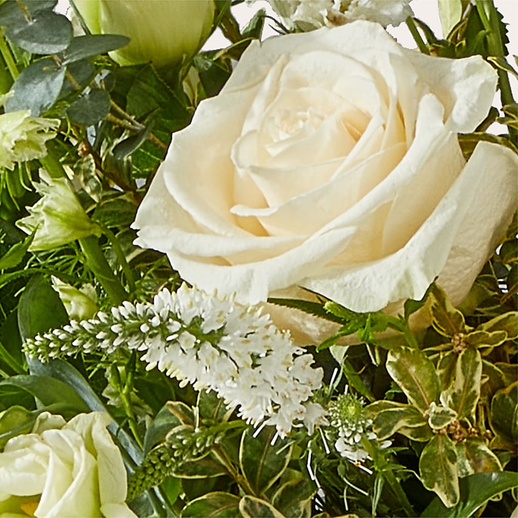 Cashmere Bouquet –  San Diego Finest Florist, San Diego CA