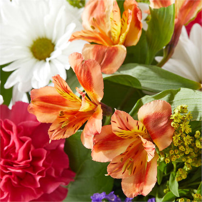 Oopsie Daisy Box Bouquet –  San Diego Finest Florist, San Diego CA