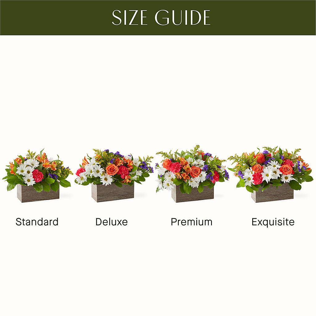 Oopsie Daisy Box Bouquet –  San Diego Finest Florist, San Diego CA