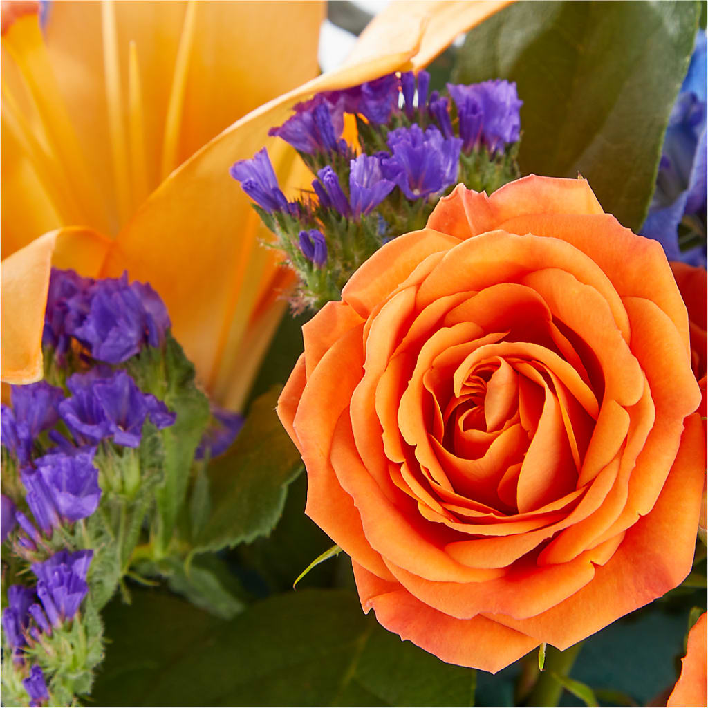 Radiant Citrus Box Bouquet –  San Diego Finest Florist, San Diego CA