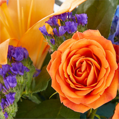 Radiant Citrus Box Bouquet –  San Diego Finest Florist, San Diego CA