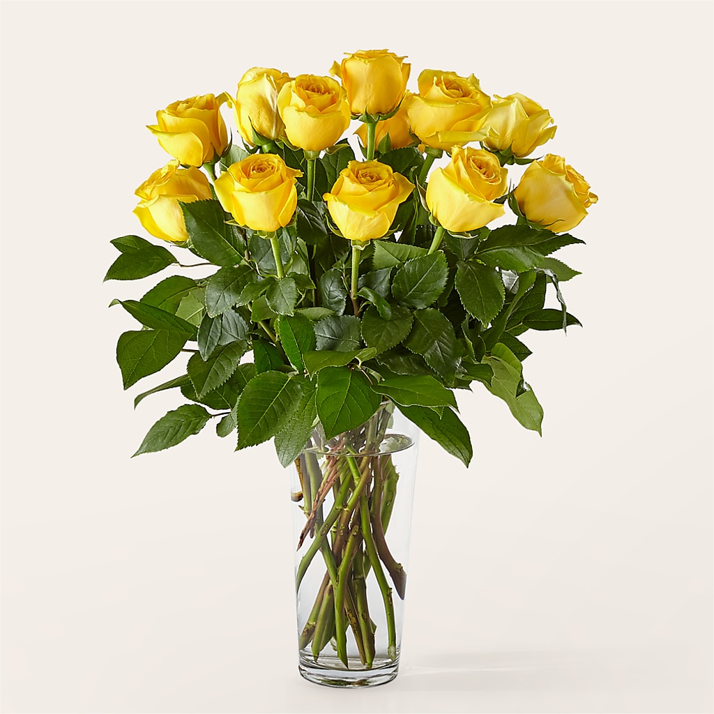 Long Stem Yellow Rose Bouquet –  San Diego Finest Florist, San Diego CA