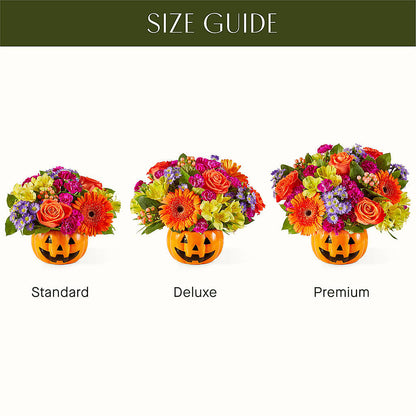 Tricks & Treats Pumpkin –  San Diego Finest Florist, San Diego CA