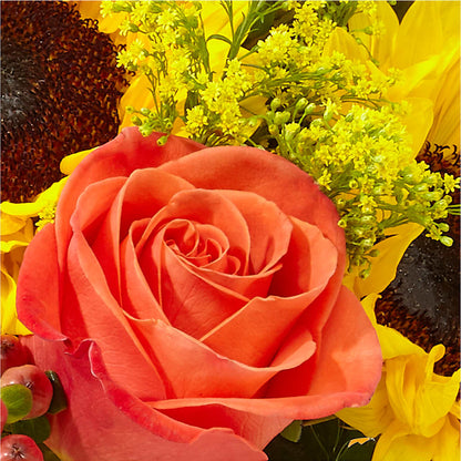 Pick of the Patch Pumpkin Bouquet –  San Diego Finest Florist, San Diego CA
