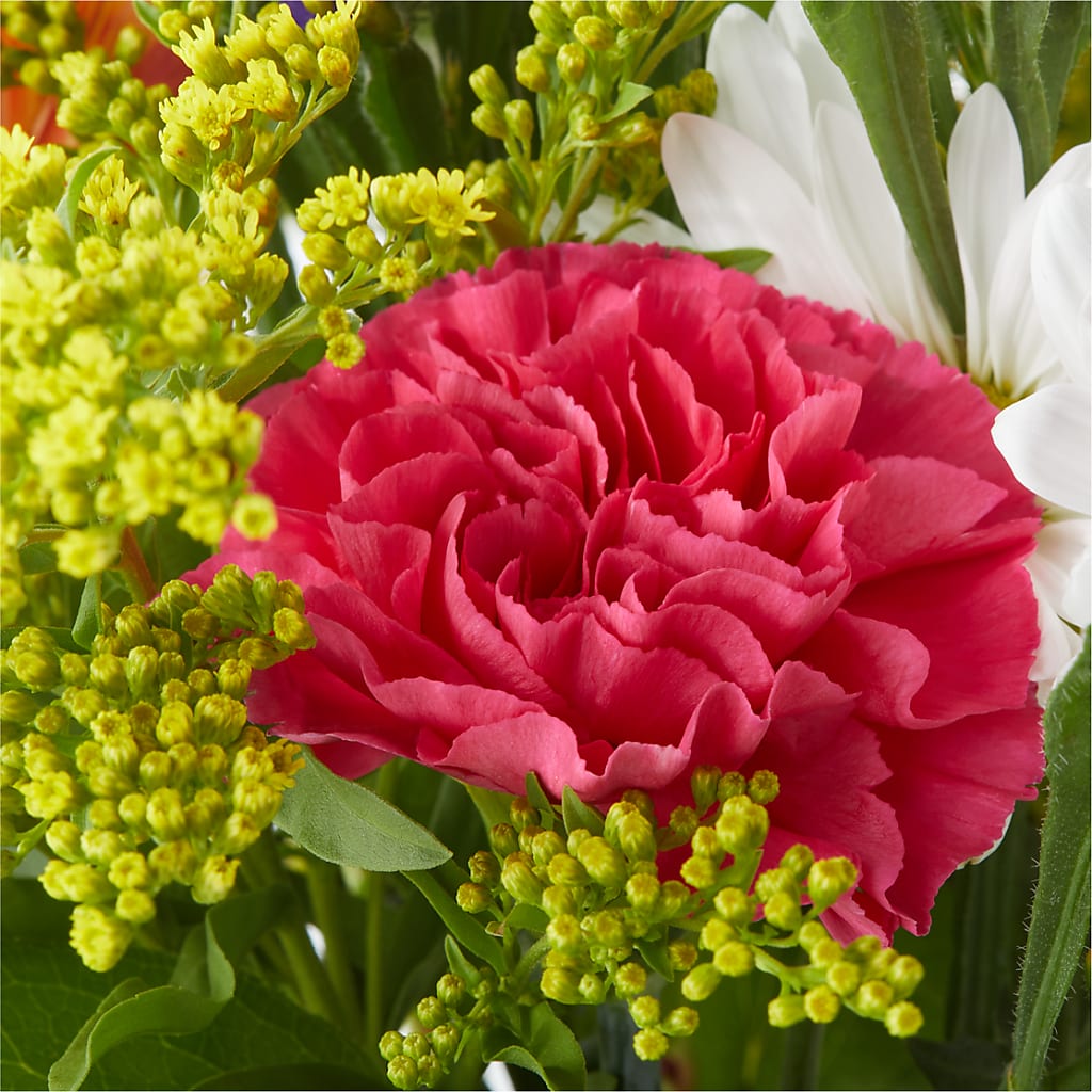 Oopsie Daisy Bouquet –  San Diego Finest Florist, San Diego CA