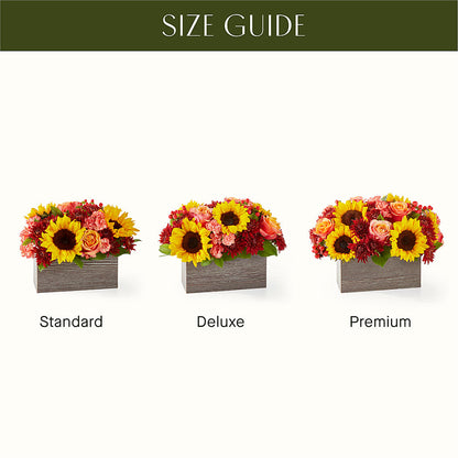 Fresh Cider Bouquet –  San Diego Finest Florist, San Diego CA
