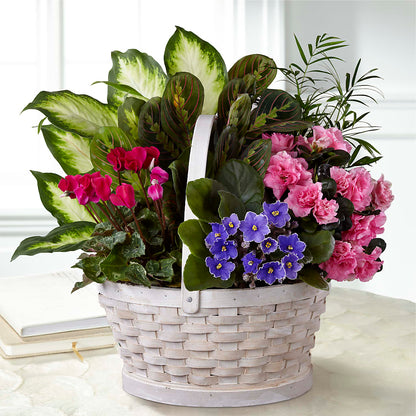 Peaceful Garden Planter –  San Diego Finest Florist, San Diego CA