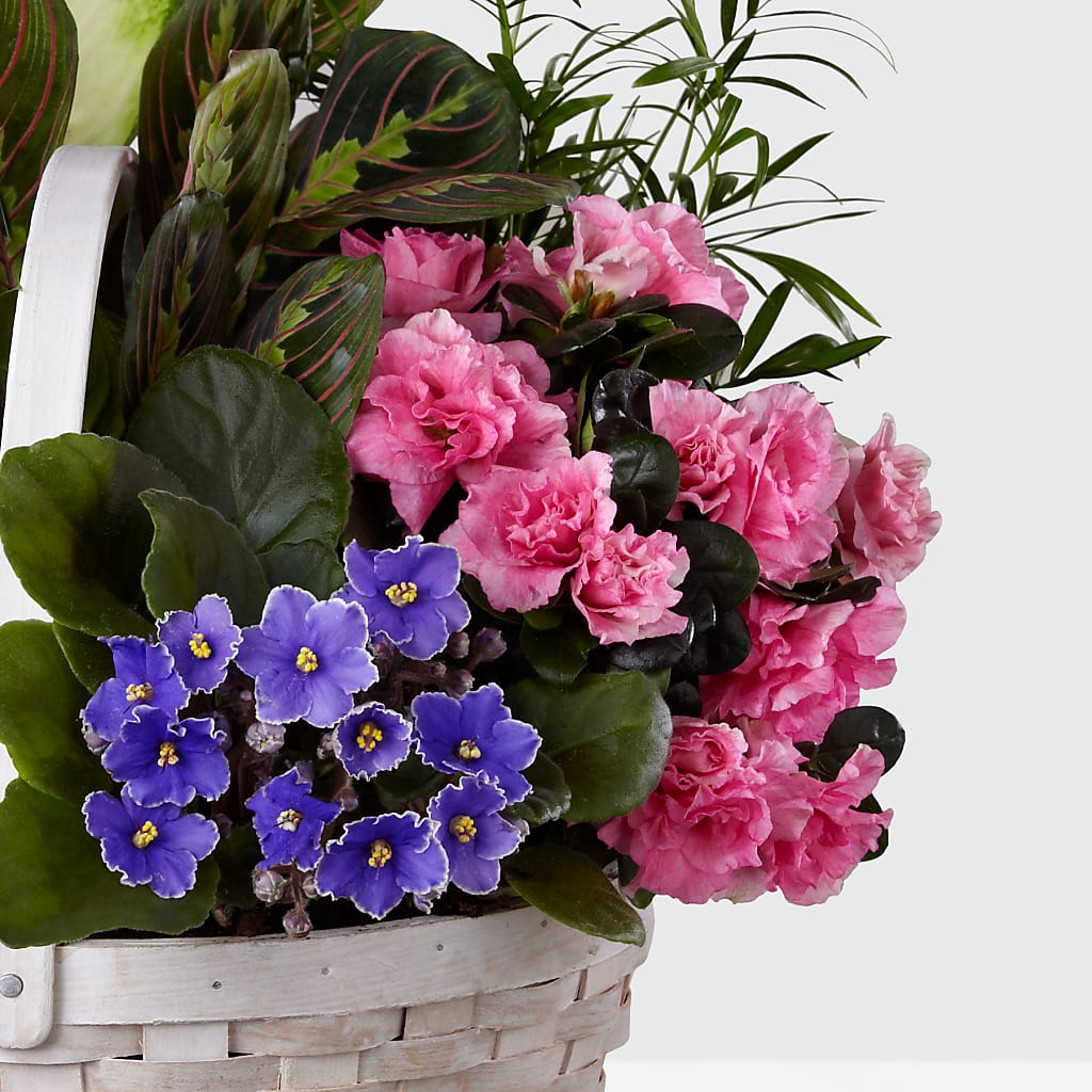 Peaceful Garden Planter –  San Diego Finest Florist, San Diego CA