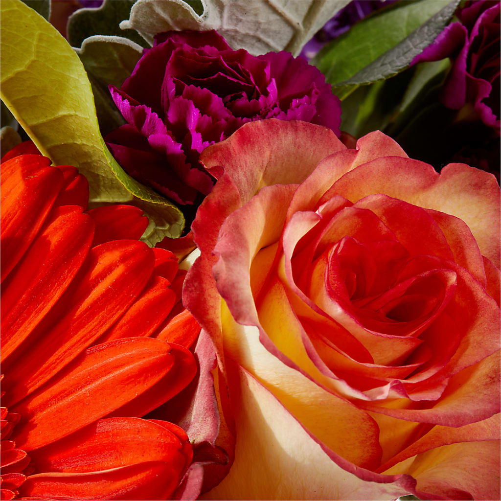 Sangria Bouquet –  San Diego Finest Florist, San Diego CA