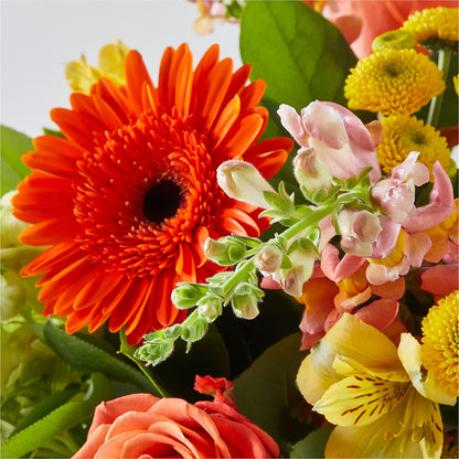Autumn Sunshine Bouquet –  San Diego Finest Florist, San Diego CA