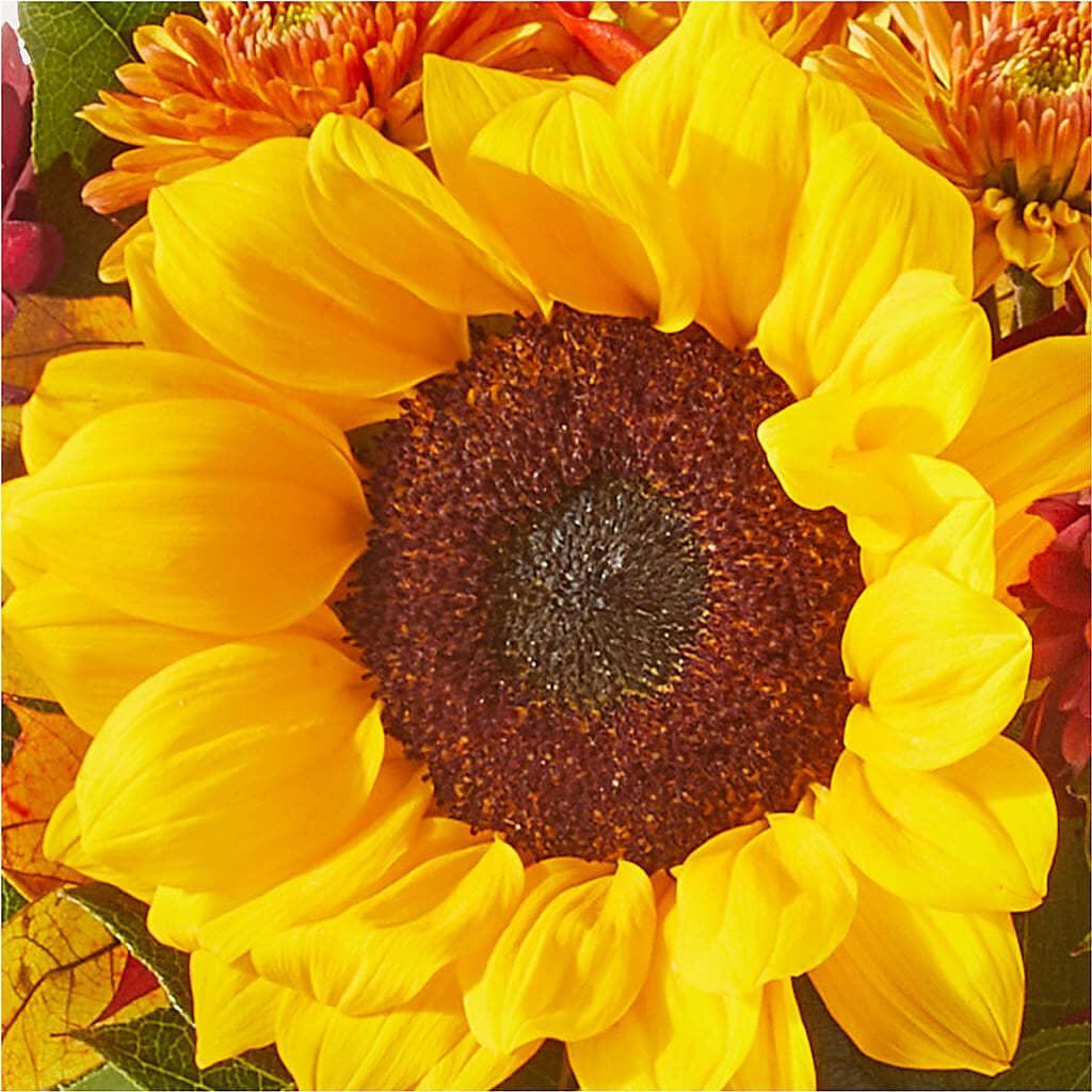 Sunny Side Bouquet –  San Diego Finest Florist, San Diego CA