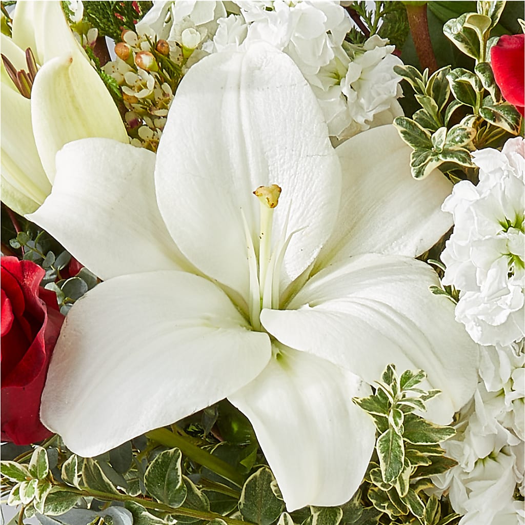 Twinkle Lights Bouquet –  San Diego Finest Florist, San Diego CA