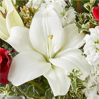 Twinkle Lights Bouquet –  San Diego Finest Florist, San Diego CA