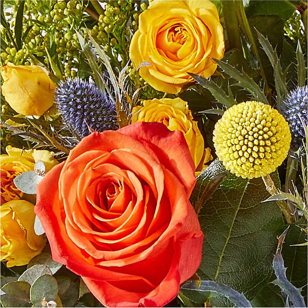 Disco Bouquet –  San Diego Finest Florist, San Diego CA
