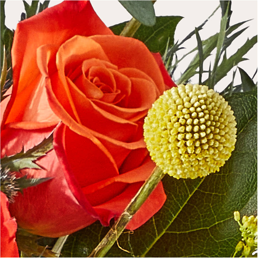 Disco Bouquet –  San Diego Finest Florist, San Diego CA