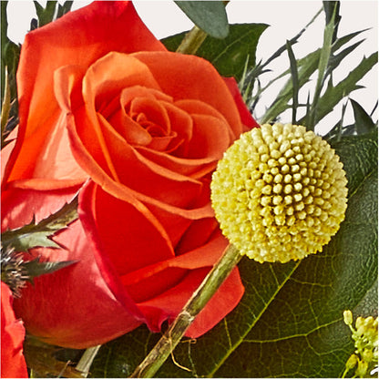 Disco Bouquet –  San Diego Finest Florist, San Diego CA
