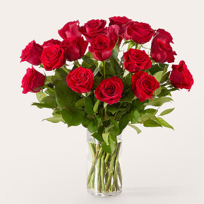 The One Red Rose Bouquet –  San Diego Finest Florist, San Diego CA