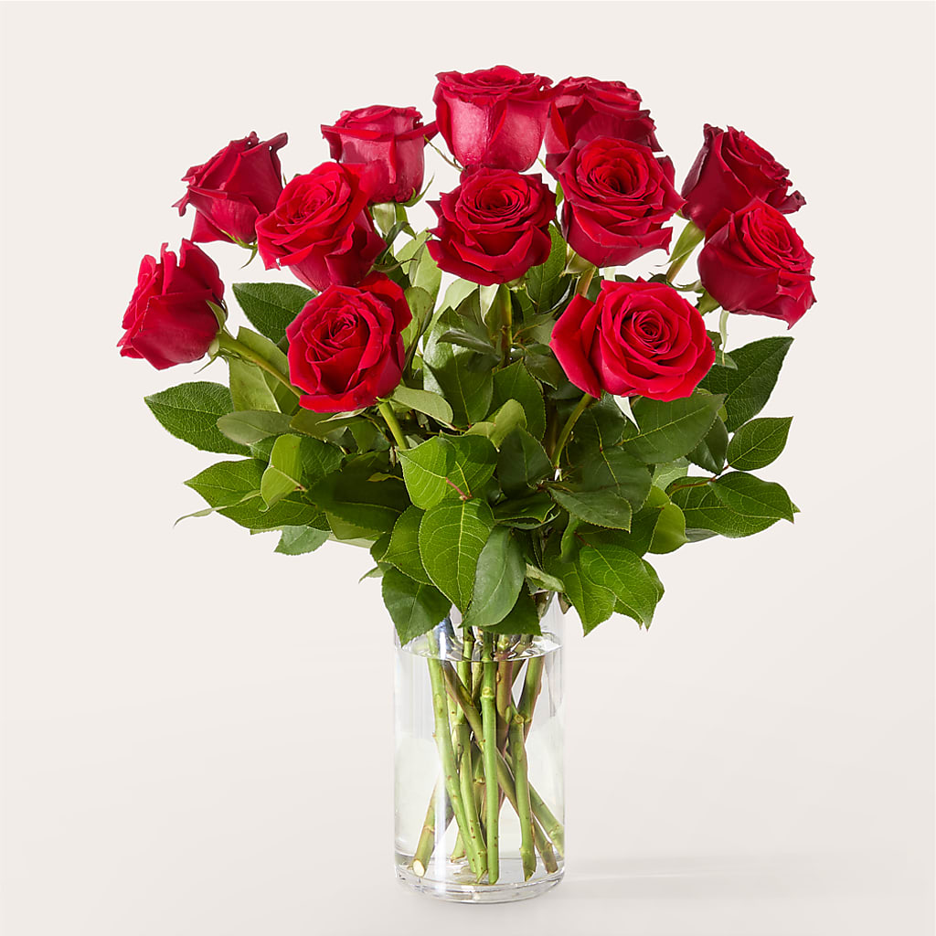 The One Red Rose Bouquet –  San Diego Finest Florist, San Diego CA