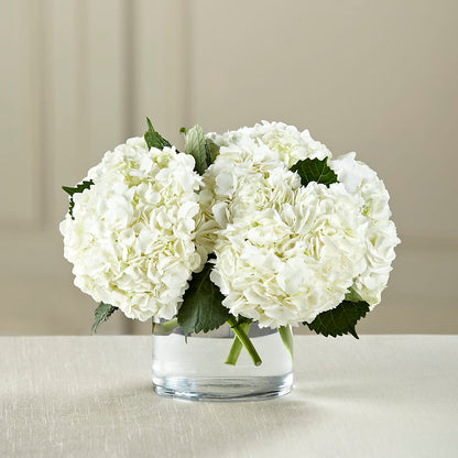 White Hydrangea Bouquet –  San Diego Finest Florist, San Diego CA